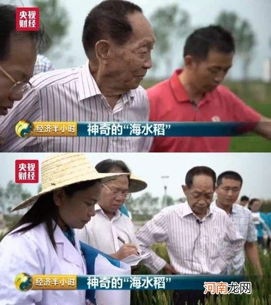 袁隆平是哪里人 袁隆平是哪里人?什么身价