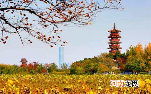 徐州旅游景点哪里好玩 徐州旅游景点哪里好玩适合儿童玩的