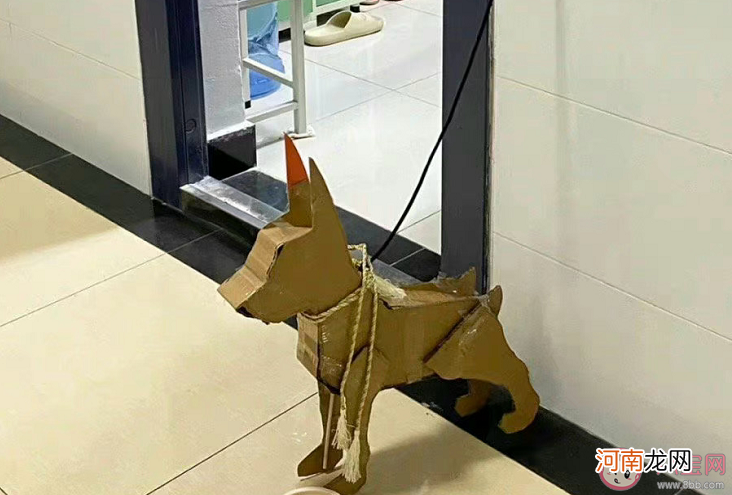 纸盒狗|纸盒狗风靡中国高校 纸盒狗为什么火了
