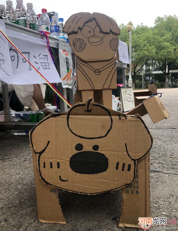 纸盒狗|纸盒狗风靡中国高校 纸盒狗为什么火了
