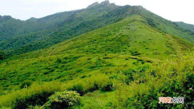 高山在哪里 瑶家高山在哪里