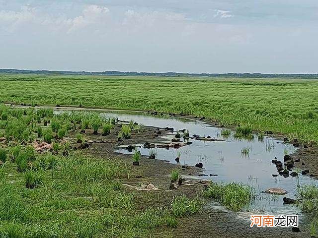 黑瞎子岛在哪里 黑瞎子岛为什么叫黑瞎子岛