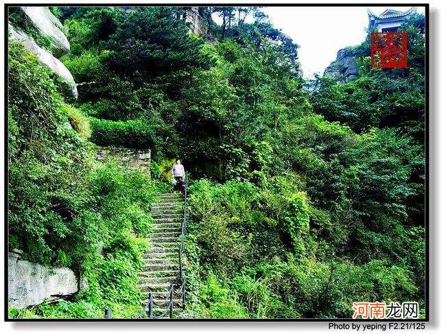 天台山在哪里 天台山在哪里看萤火虫