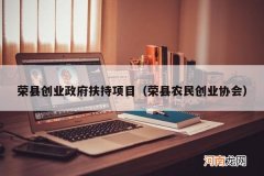 荣县农民创业协会 荣县创业政府扶持项目