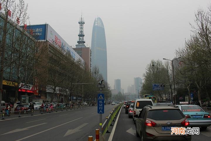 济南哪里有 济南哪里有宠物市场