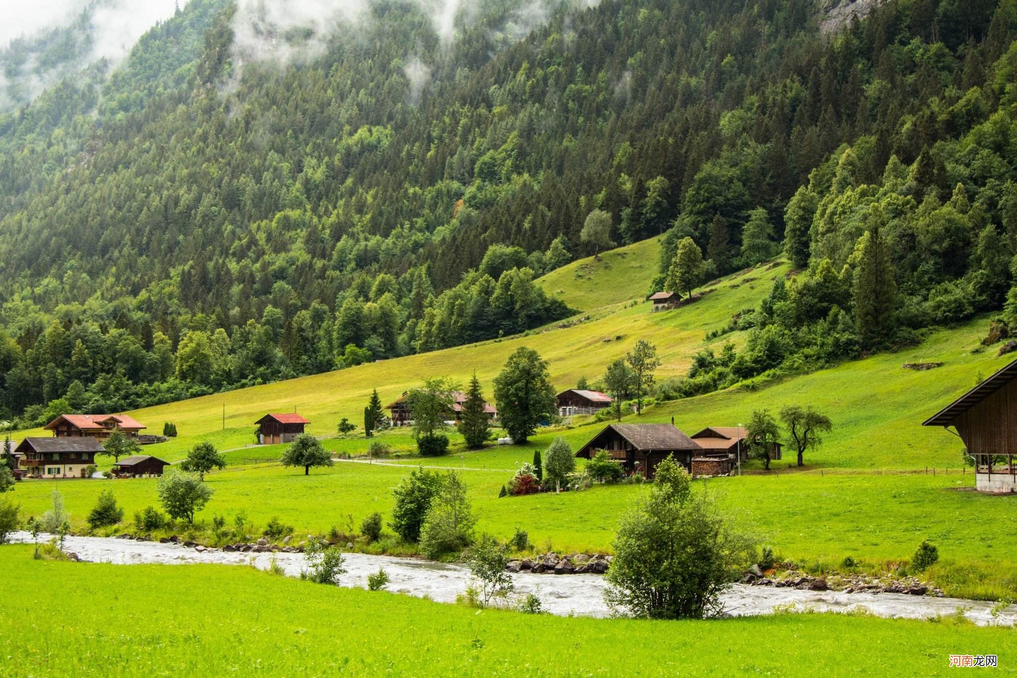 怎样的景色 柿林秋色是怎样的景色