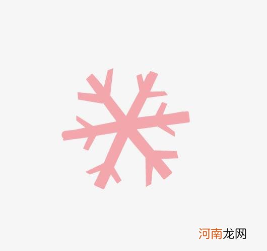 怎样的雪花 什么样的雪花