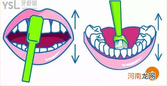 怎样正确刷牙 怎样正确刷牙视频教程动画片