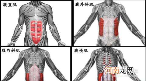 腹肌怎样练 腹肌怎样练好看