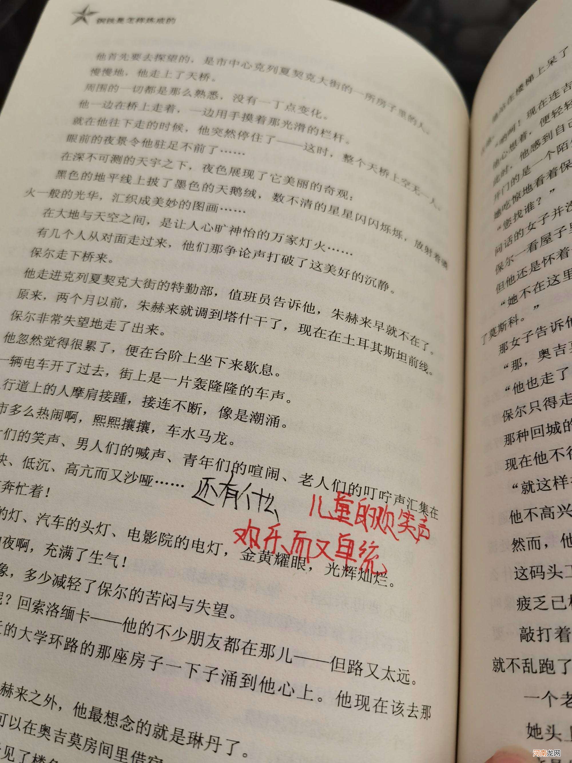 钢铁是怎样炼成的批注 钢铁是怎样炼成的批注赏析