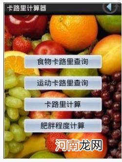 怎样计算卡路里 怎样计算卡路里缺口