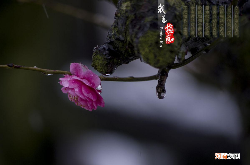 曹利生 诗选