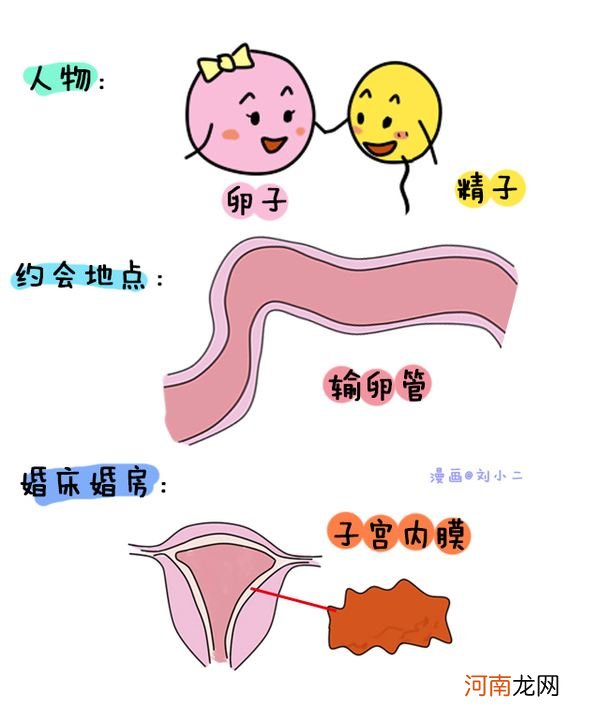 怎样确定怀孕了 怎样确定怀孕了图片