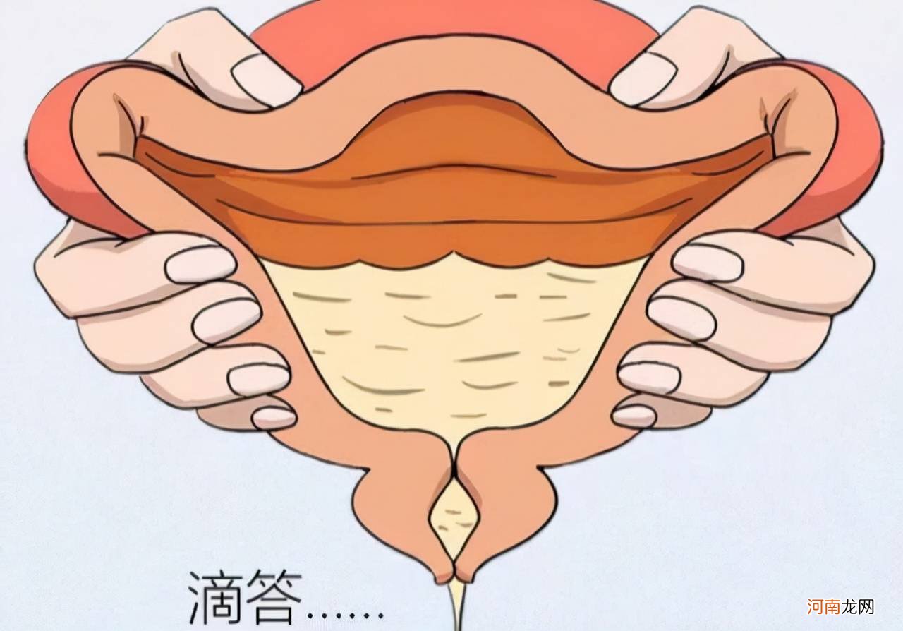 女性尿路感染怎么办 尿道在哪里