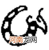 玉龙是谁 玉龙是哪里