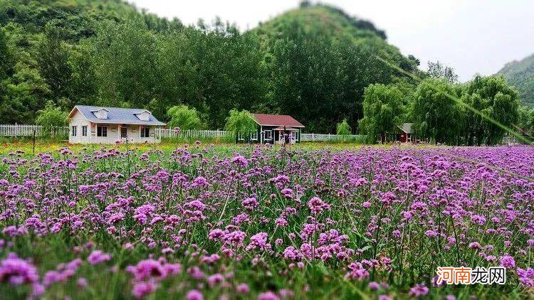 北京郊区特色景点 北京郊区哪里好玩