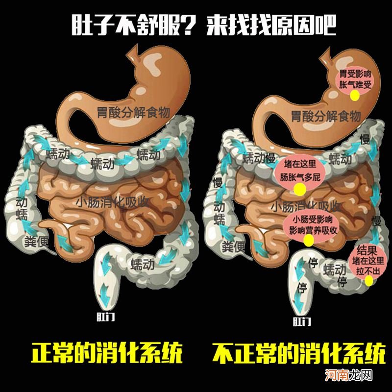 腹部在哪里 人体腹部在哪里