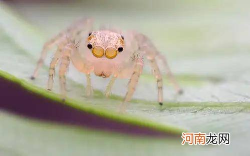 胡达是哪个国家的名 多哈是哪个国家