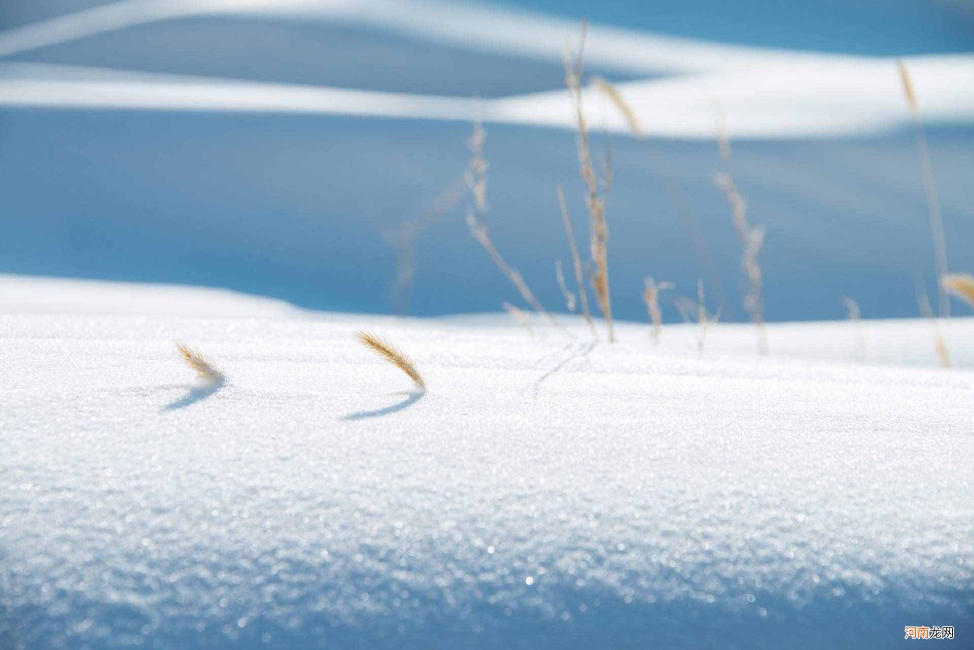 20首最经典的冬天诗词 形容冬天的诗句