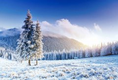 20首最经典的冬天诗词 形容冬天的诗句