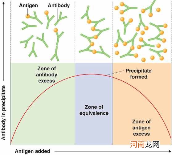 抗原抗体的相互作用 抗原是什么？