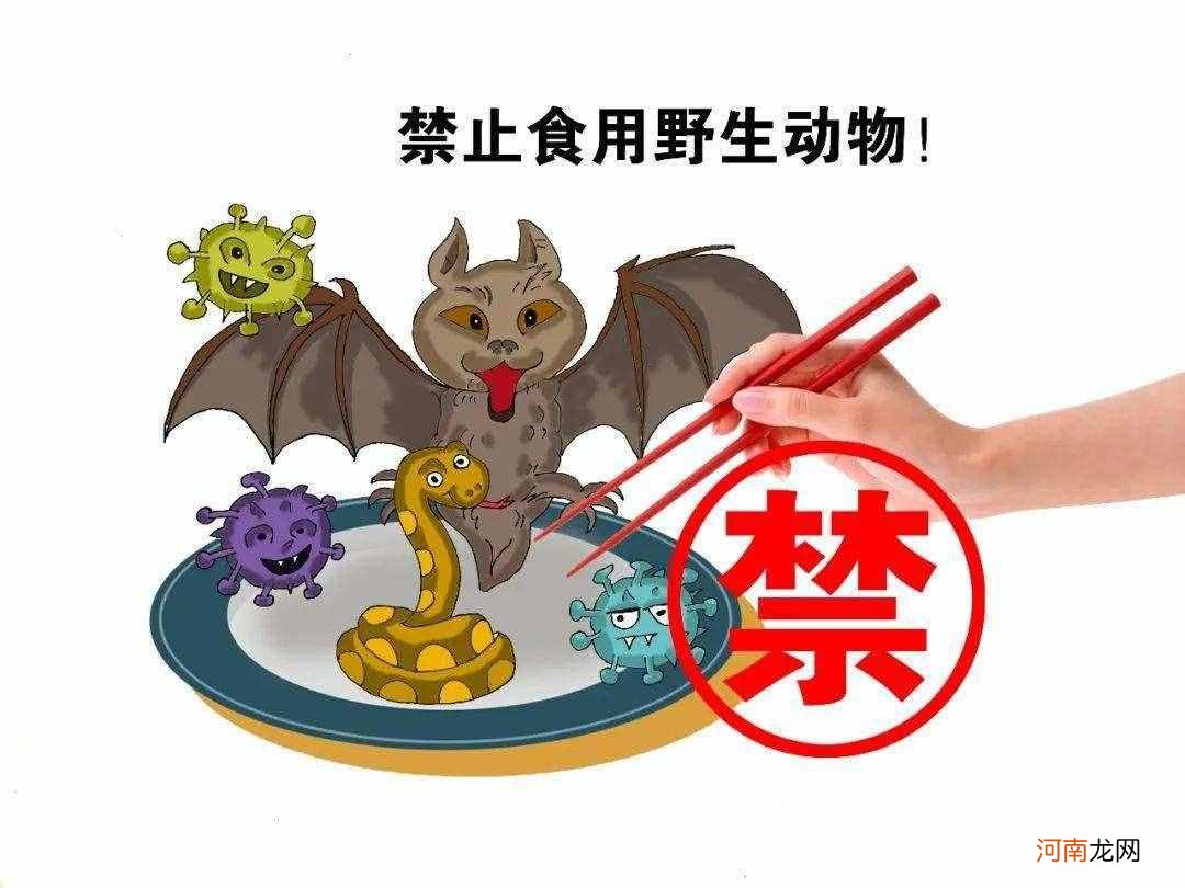 壮阳食物的原理是什么？ 补肾壮阳食品