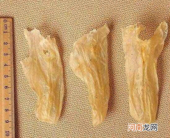 花胶怎样吃？ 花胶的吃法