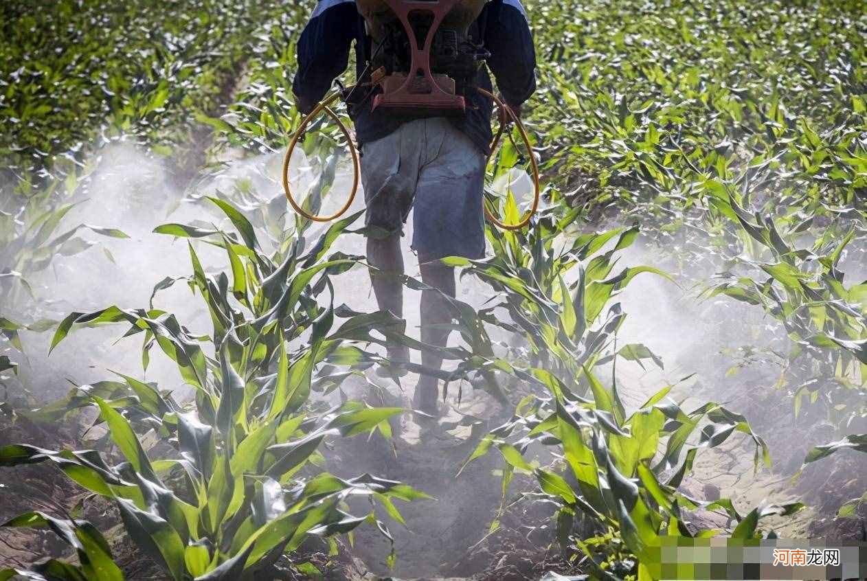 崔永元在美国孟山都的转基因 什么是转基因