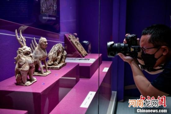 150余件套植物文物正在海南省博物馆展出
