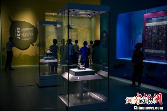 150余件套植物文物正在海南省博物馆展出