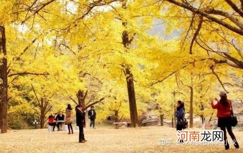 11月份适合去哪里旅游 11月份适合去哪里旅游国内三日游南京出发