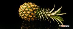 怎么区分菠萝和凤梨 菠萝和凤梨的区别