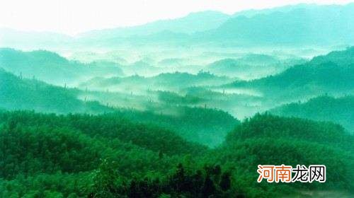 竹海在哪里 中国大竹海在哪里