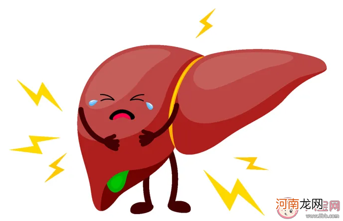人体最大的消化腺|人体最大的消化腺是肝脏还是胃 蚂蚁庄园11月12日答案最新