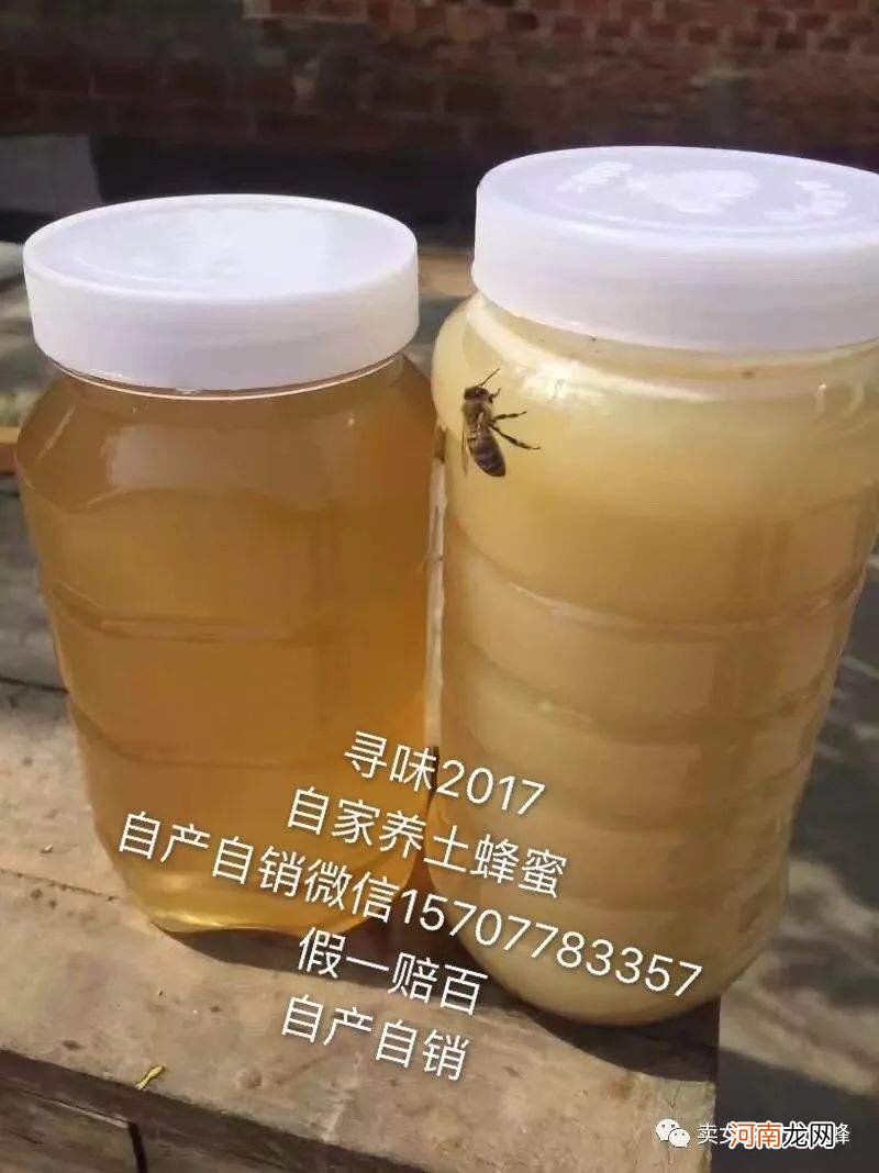 蜂蜜哪里有卖 在哪里可以买到真正的蜂蜜