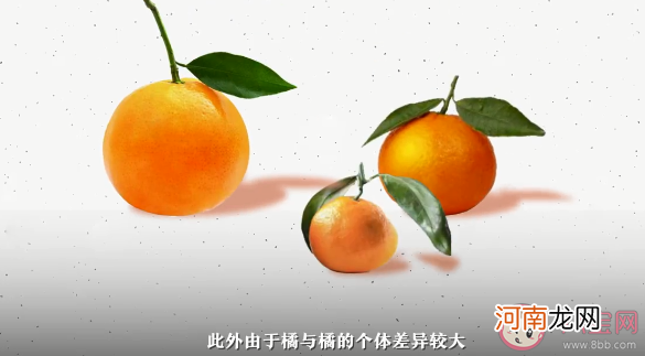 供销社的橘子|供销社的橘子为啥更便宜 供销社的价格是如何变低的
