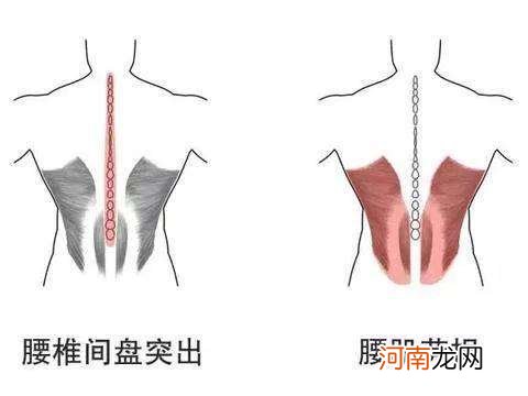 腰在哪里 蜜蜂的腰在哪里