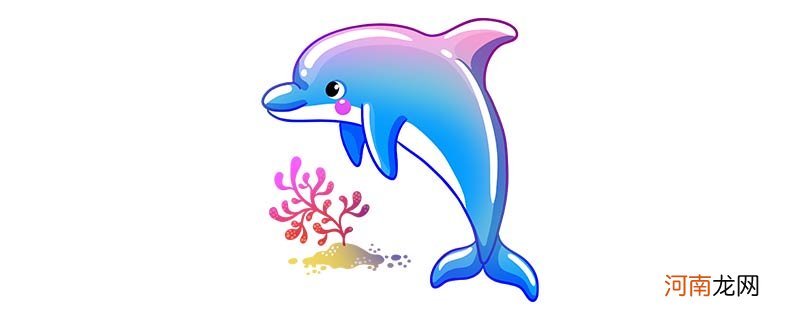 海豚喜欢吃什么
