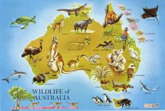 澳大利亚在哪里 澳大利亚在哪里世界地图