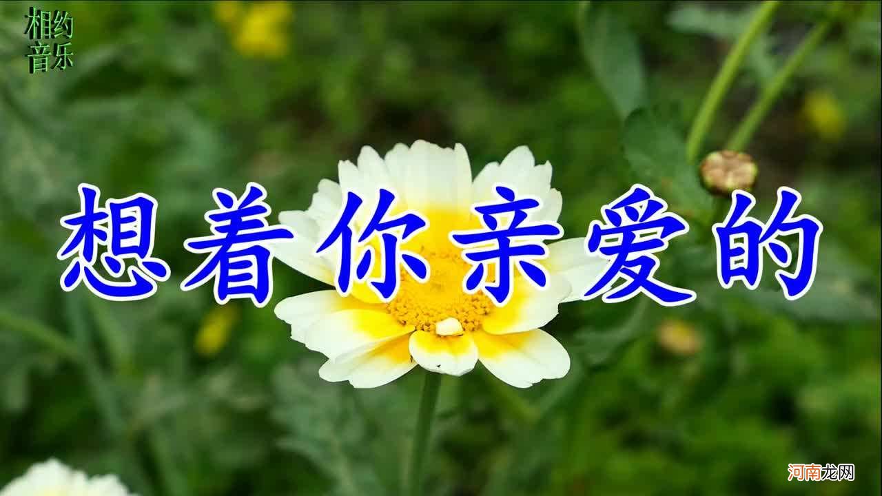 歌曲亲爱的你在哪里 歌曲亲爱的你在哪里?门丽龙飞