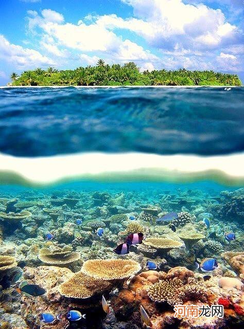 大溪地在哪里 辽宁大溪地在哪里