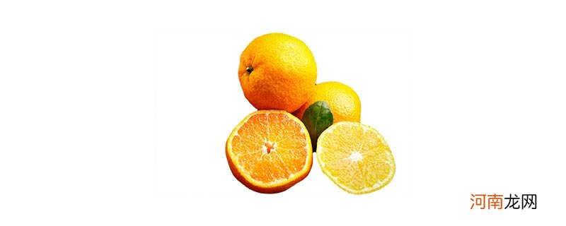 丑橘和耙耙柑的区别是什么