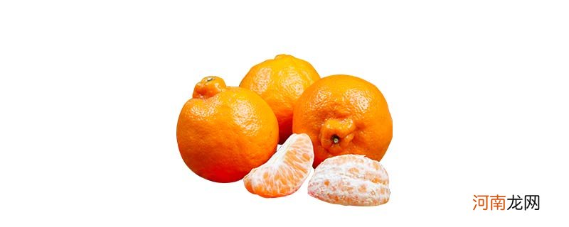 丑橘和耙耙柑的区别是什么