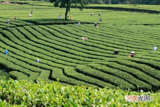 横县是哪里 横县是横州吗