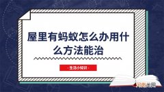 屋里有蚂蚁怎么办用什么方法能治