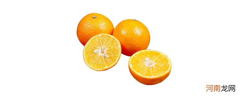 橘子和柑子的区别