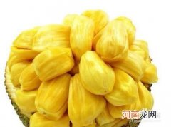 菠萝蜜怎么吃 怎样菠萝蜜