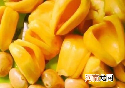 菠萝蜜怎么吃 怎样菠萝蜜