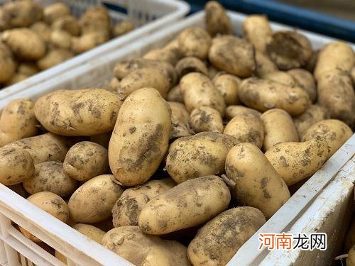 土豆哪里挖一挖一麻袋日语什么意思 土豆哪里挖