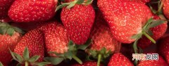催熟草莓和正常草莓的区别有哪些